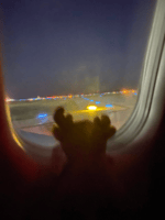 S T E P H A N I E au