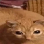 Siri Sound Effect end