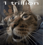 fatty fatty fatty no parents