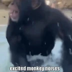 Monkey Noises SFX