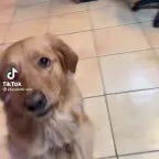 PATBOL I OLIWIX - SKIBIDI [PROD.PATBOL]