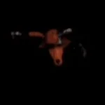 fnaf 2 scream cutoff