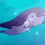 NARWALS