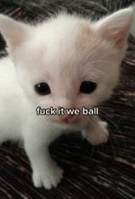 Dreamybull Oh My God