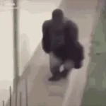 gorilla tag jumpscare