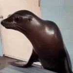 Recording 12/22/25 10:19:01