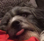 Mr. Bubz WAAAAA