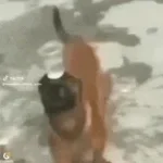 a water