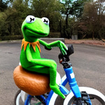 watch out here I come