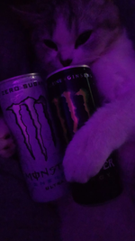 when the party is over