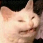 happy new year everyone