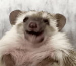 SCP 173 walk - Sound