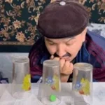 Папа едет в Волгоград - Sound