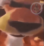 mi caballero aquinogod