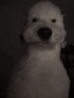 overtaken x drums of liberation full ost (dc sound intro)