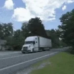 honk honk