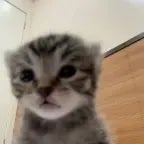 me n that boy are donedadone