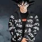 racist goku (copy)