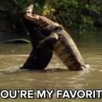 you the besh bro (copy)