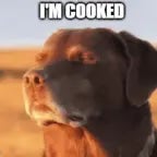 Let me know (melodica) loud