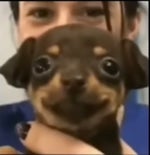 bogdan liubit kakish ZAG5JHN