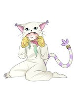 The Biggest Dreamer mr