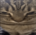 Rewrite Original Soundtrack Philosophy of Yours