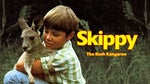 skippy the bush kangaroo