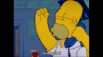 Homer Simpson : The Simpsons Woo-hoo