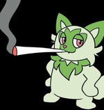 Gato makonha