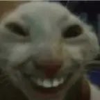 Shapeshifters Wrath [Secret of the Mimic this time im real]