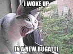I WOKE UP IN A NEW BUGATTI