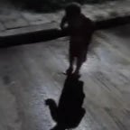 shadows in my room forró