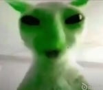 Green alien Cat