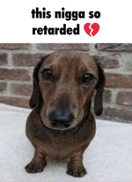 Markiplier Cupid AI cover