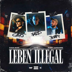 Leben illegal