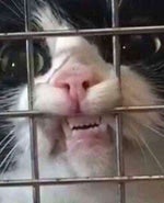 RPReplay Final1702061072