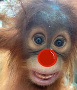 caveman grug films (audio only)