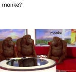 Vindhætterne nu kommer du ned derfra!!!!