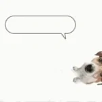 turip ip ip ip ip ip ip turi ik ip tscha ip ik eugh turi eugh t