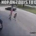 Sieht man auch nicht allen Tagen