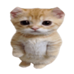 Intro