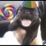 squeak-silly