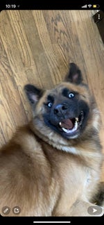 Juice WRLD Lucid Dreams (Official Instrumental) - Sound