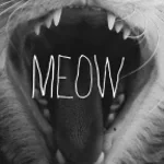 deep meow (copy)