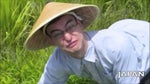 Welcome to the rice fields Filthy Frank