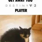 화난고양이2_Recording 08/12/25 13:42:54