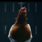 stop sign man what stop sign