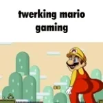 peanut gets a bobcat