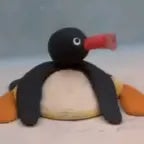 Noot Noot *earrape*